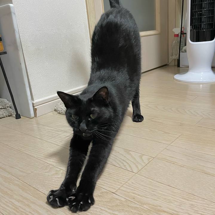 54c650e6 f4c3 414f ba24 83125242547b 1654513164371