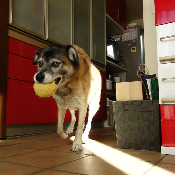 54c6746e 24d1 4106 b8ab fe36d554cf74 1619829649164