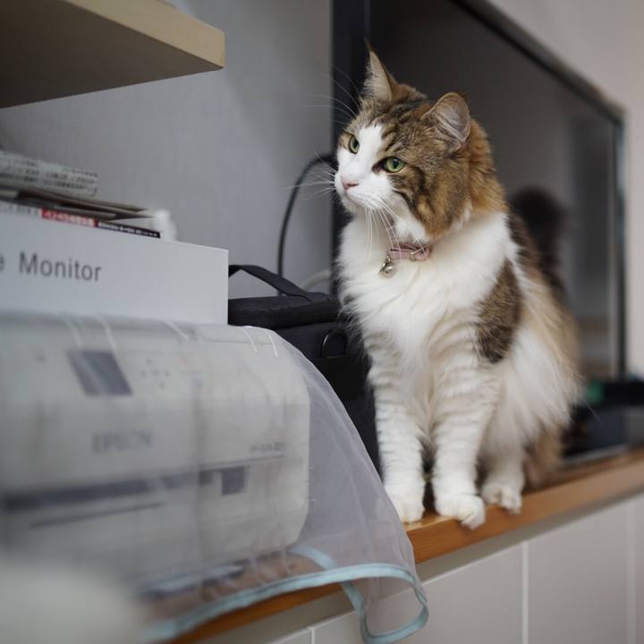 54c683c6 9cc8 439e 97bd 16961b622f07 1629516230216