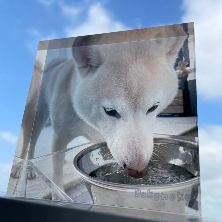 54c68412 94c8 454b 9123 3aa99c1bfcf3 1751586465400