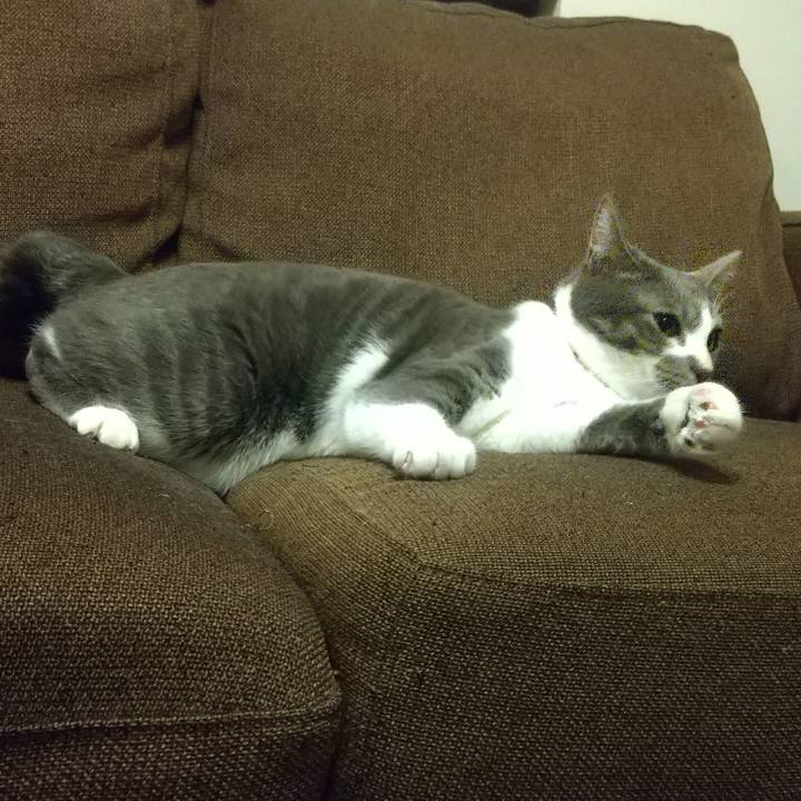 54c6bc20 3f06 4087 ad7e fc18545a4d78 1610975929984