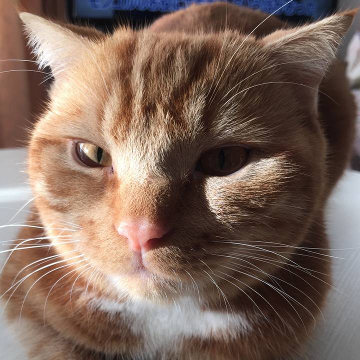 54c6ce1f 031e 4b69 9f76 4a396d270e4b 1513405121340