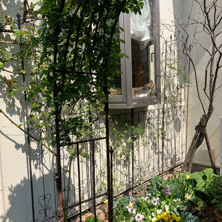 54c706ad ab59 4fb1 8533 3989400a7a95 1774747176585