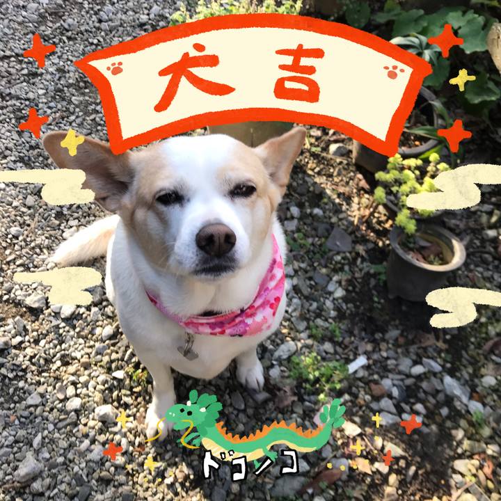 54c7288a b381 48e4 92bc a063863c8f8a 1704540060073