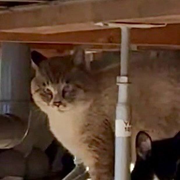 54c76b13 c2fe 45a7 9c36 bff00dee0b7b 1773916752896