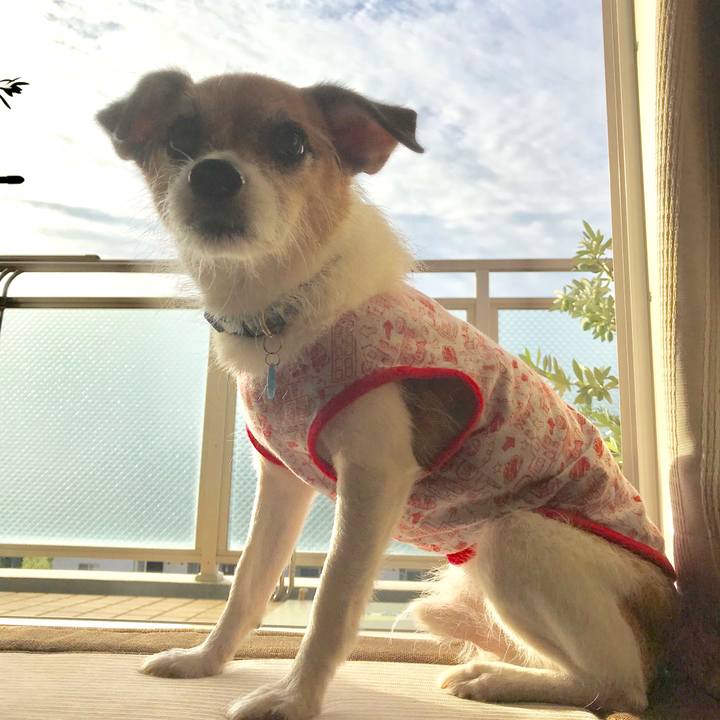 54c7ceb9 8a37 4f23 aa6c e818b54cd104 1568760316728