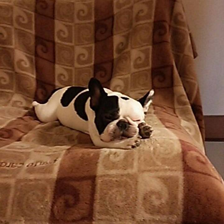 54c7eb26 58ed 4471 a193 791ee8a60d00 1532431866718