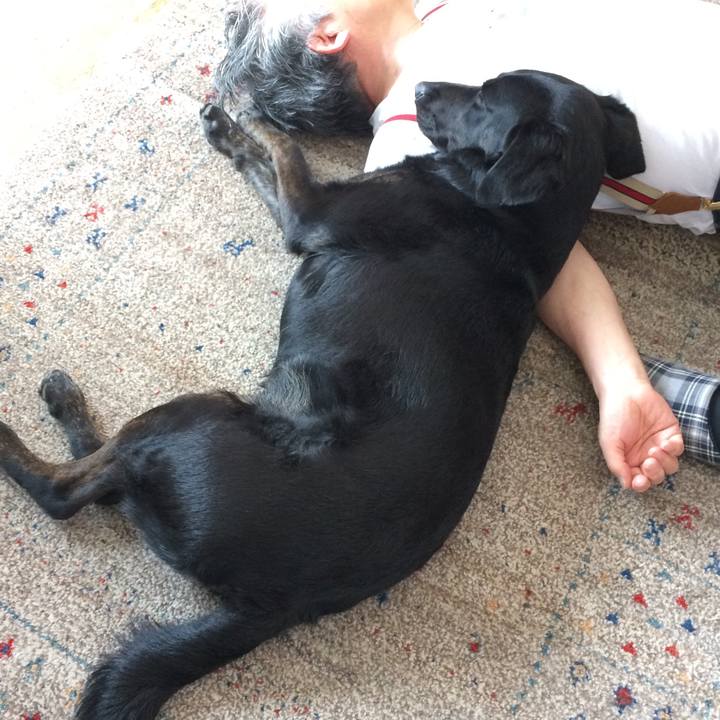 54c7ee11 0017 4bbc 8310 f08678db340e 1530074031876