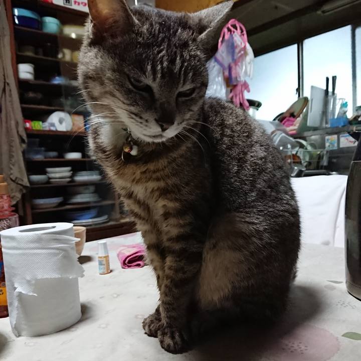 54c8393c 512f 4223 b707 7c6543396996 1560975714552