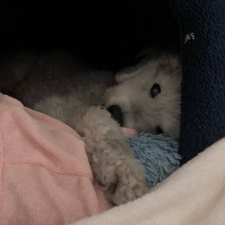 54c839e2 df8a 43d9 a201 6dd2e3884f62 1653609008679