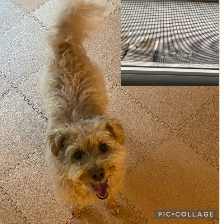 54c8a9fa 821c 46eb 982e 64619bbaa8a2 1688165349968