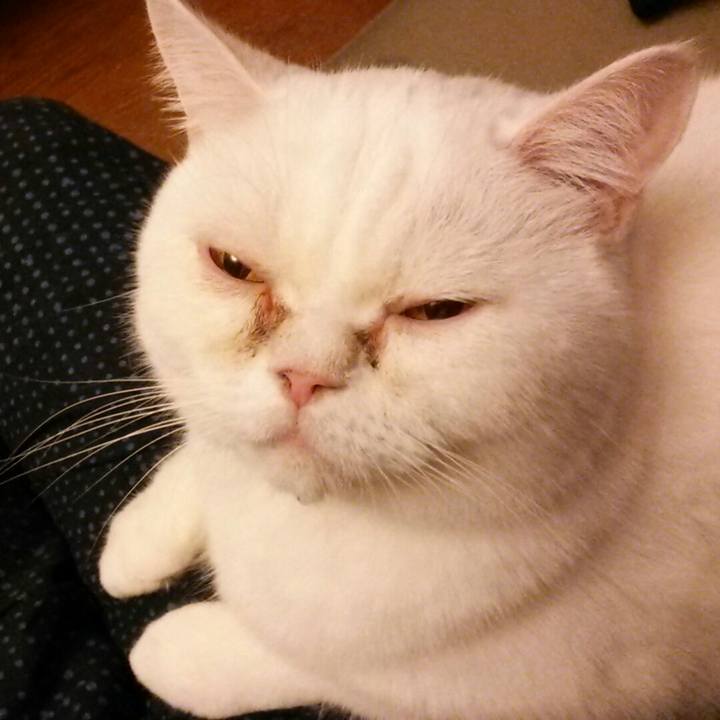 54c8aee2 a11b 4d4d 87ac 3cf3a523ec22 1535878288113