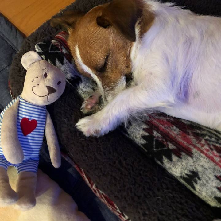 54c8cfd8 3561 4e05 8e4a 5d347e225b5e 1512564210176