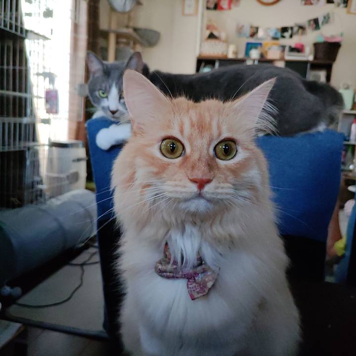 54c8f404 1c3b 45a7 8257 5c45237ad5c8 1689582044951