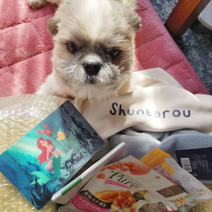 54c9472f 0702 4541 b9bf b53d6a9ef90f 1771131412181