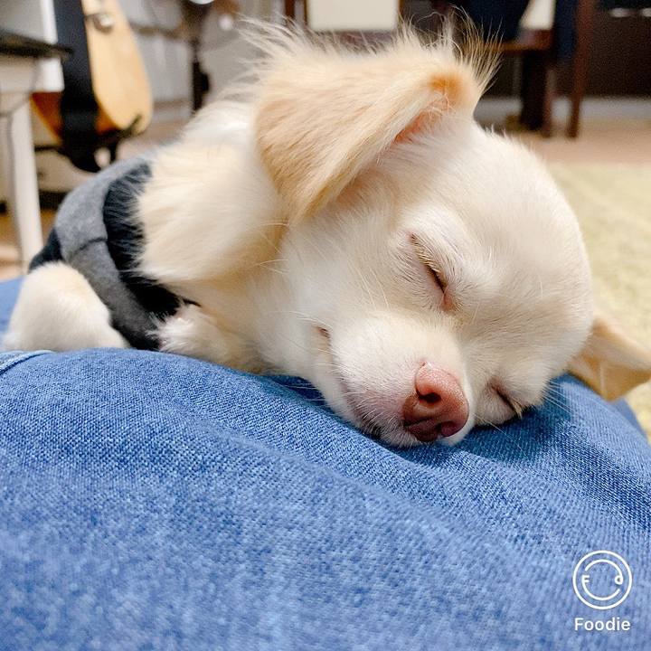 54c950e7 cd32 466c ab0c 1d4bf192a583 1601176219382