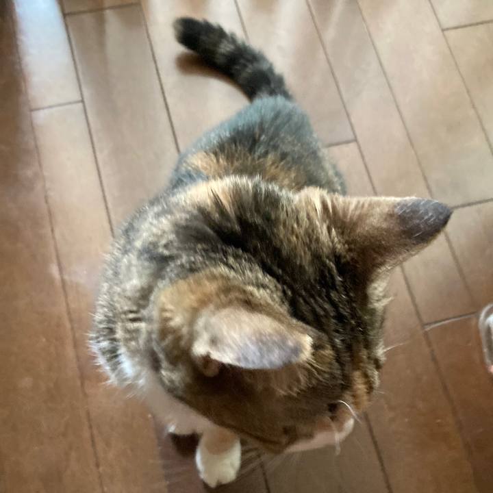 54c959ca 544c 4bfe a275 b73c36feb1fe 1761553064140