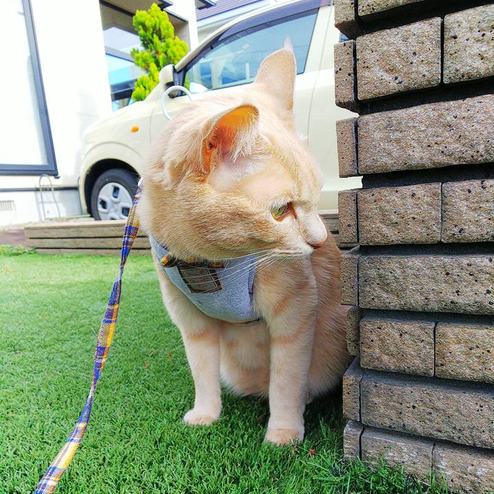 54c98f91 5e69 416d b5ec c70fdb7f37ae 1633046777939