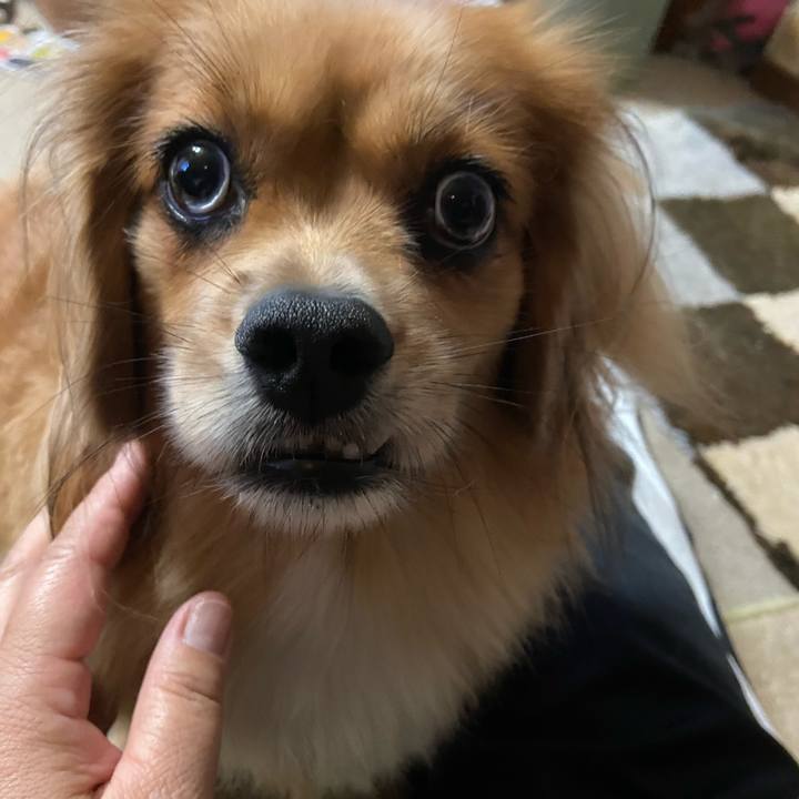 54c9c907 526f 495a a8f1 32355710feb8 1601500414109