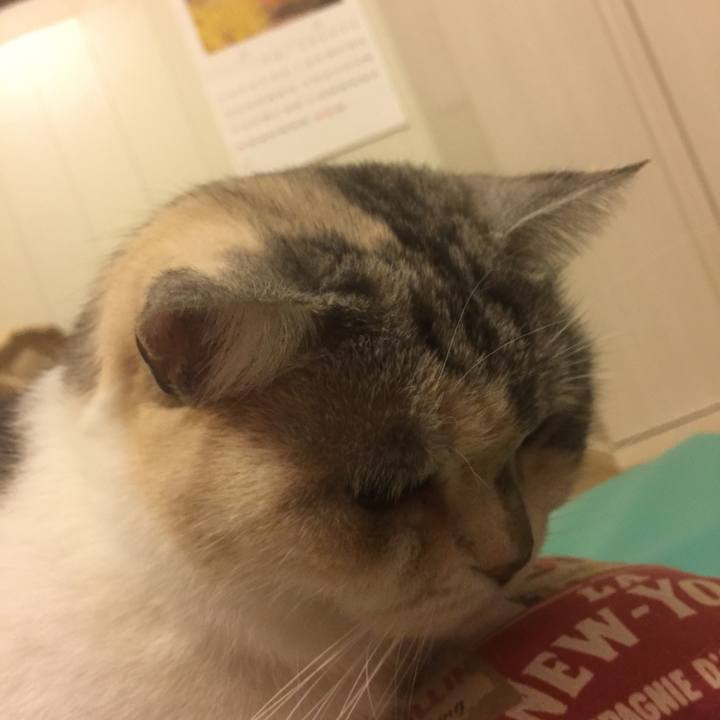 54c9e25a 66d0 4076 bcfb 6906ddf59dab 1553011171725