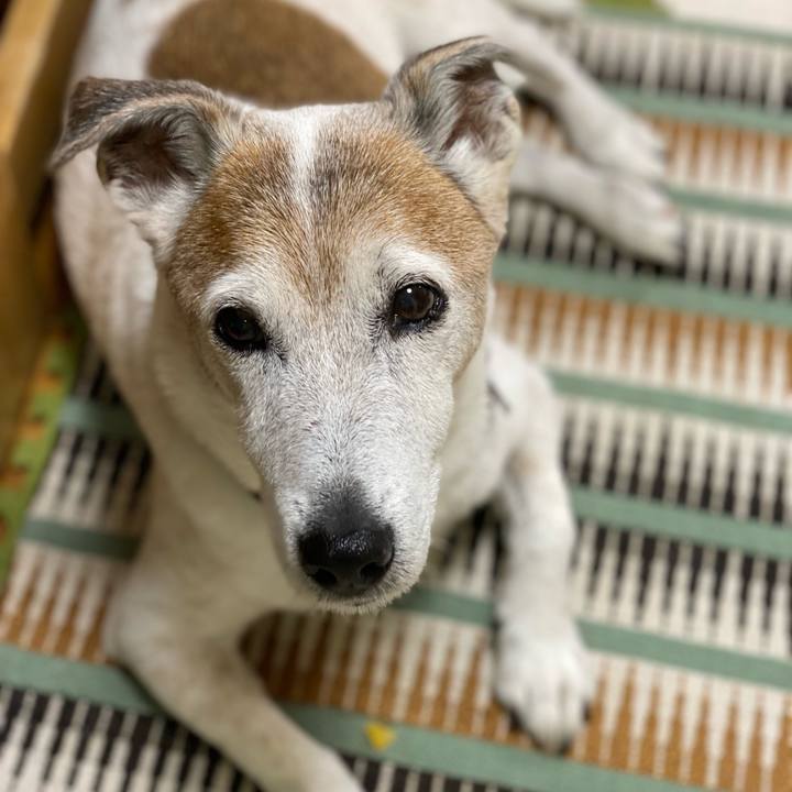 54c9fd8e fa68 48dc 9af4 6c88093c677a 1634768825324