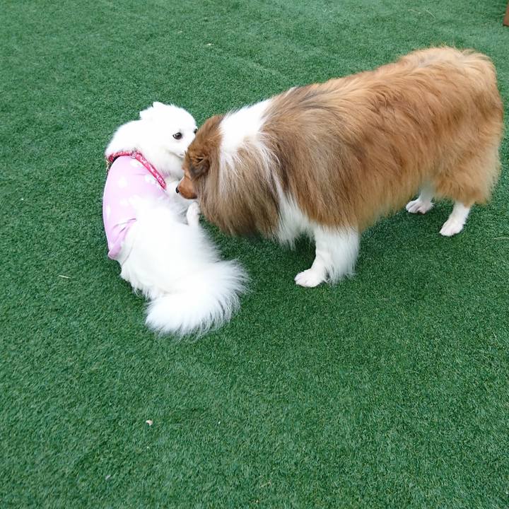 54ca1735 47b1 49c5 864c 78d772da6bfc 1567343892863