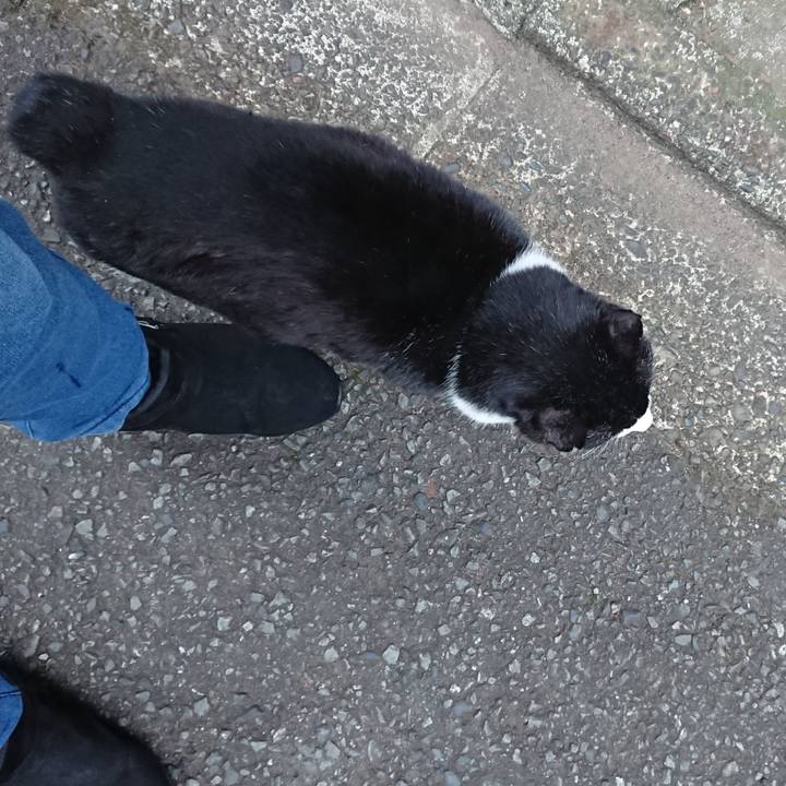 54ca27fa e41b 48b7 b1d5 7b1bd46999fd 1674430194068