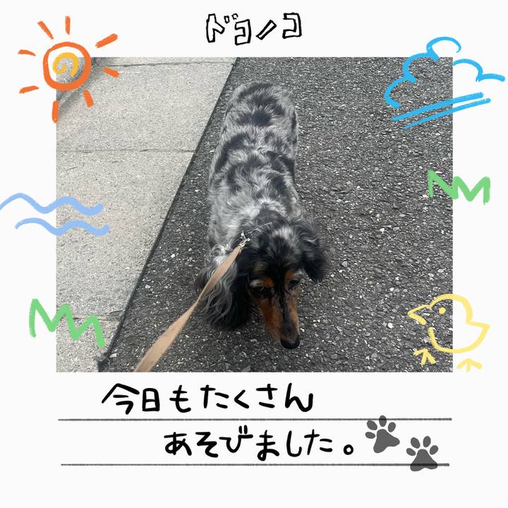 54ca345c 3ffc 4e99 a70f 231a2318829d 1755127297118