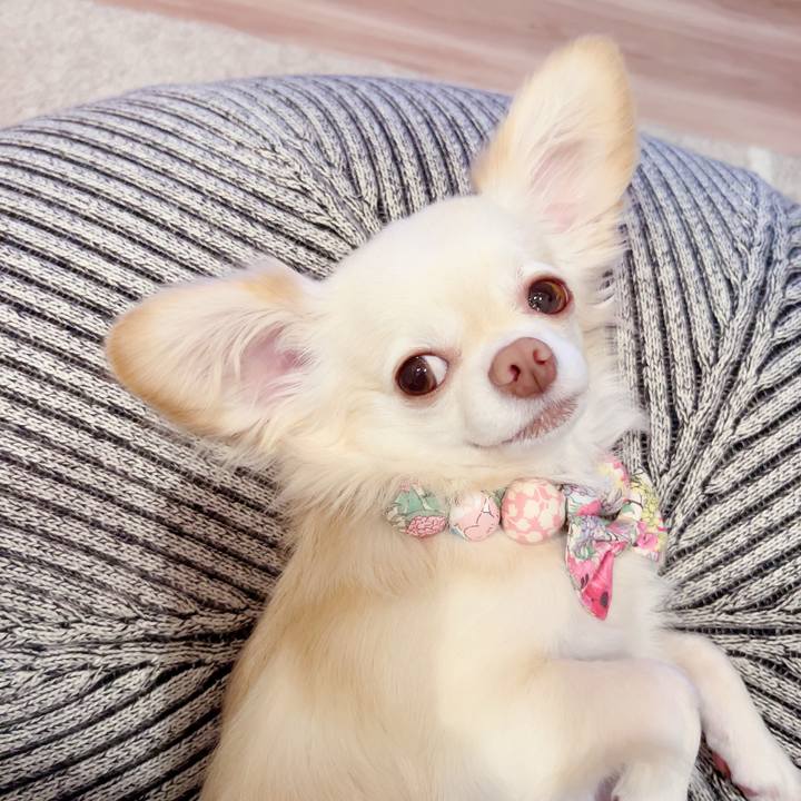 54ca5274 6724 4504 9764 c32d6f44e969 1692792469944