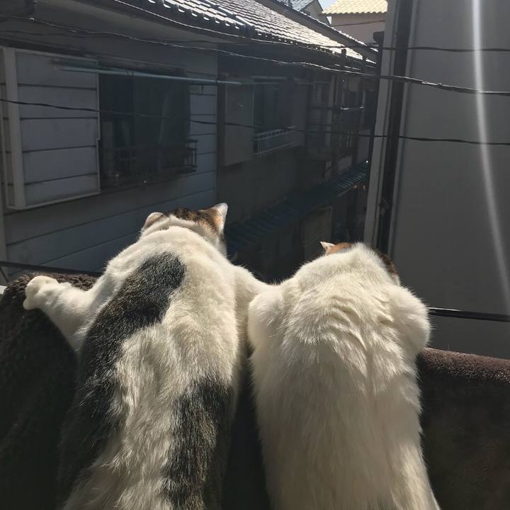 54ca59d3 ecf3 4a62 8afb 749fad760f6c 1519223591551