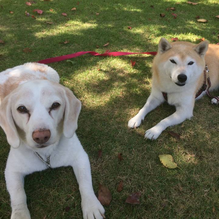 54ca5d38 1f19 40c1 9fe3 626f28895aa4 1534675724239