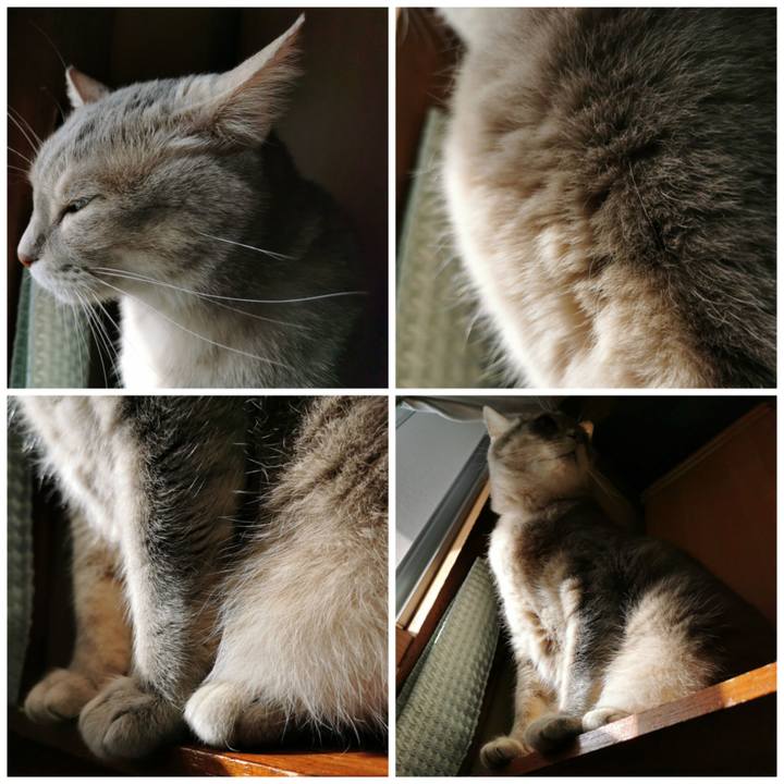 54ca6ea7 6f1e 4866 8205 b58fc1fc2eb8 1682233073615