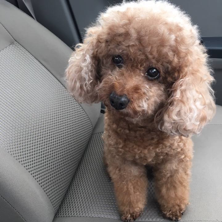 54cab446 b9e7 4c00 bb17 e80b716e419c 1581425214480