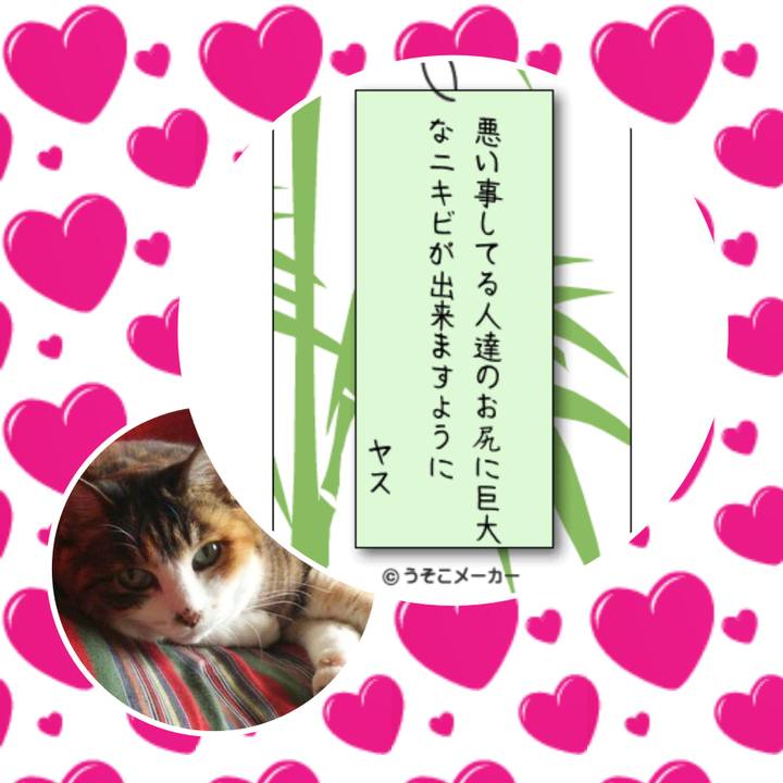 54cabda5 4e1e 4bc7 ab23 6f2ed02739e6 1530955718357