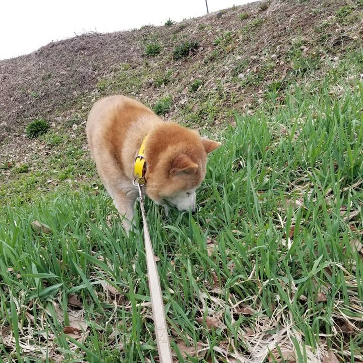 54cac798 9c48 4d60 b7e6 4b2d3e78fb58 1680780649596