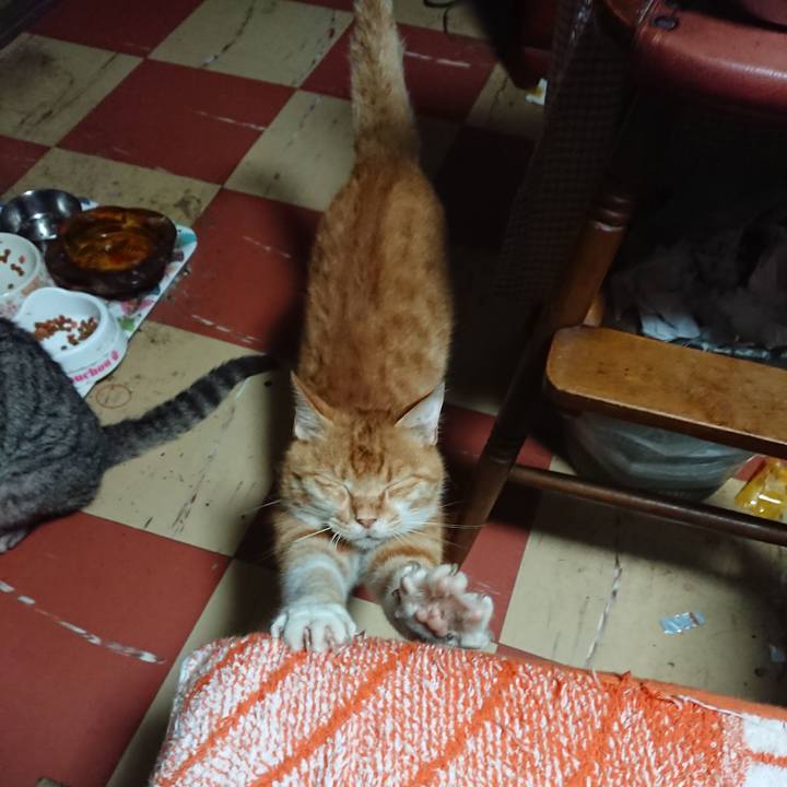 54cacd33 42c0 42ff 8688 53a5f775470f 1595879777708