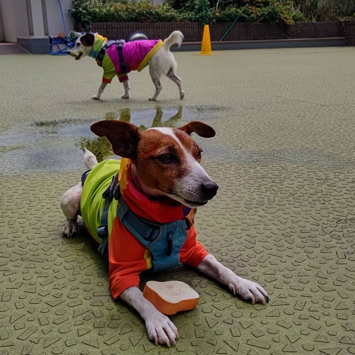 54cb2266 f795 4d98 b814 f1f2aab1973d 1716901703257