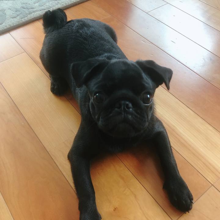 54cb49b9 ed8a 453a b997 3964587b2417 1595744843410