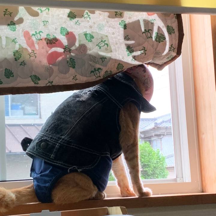 54cb5591 482e 4304 9c3a dc5b28fbf514 1625227252197