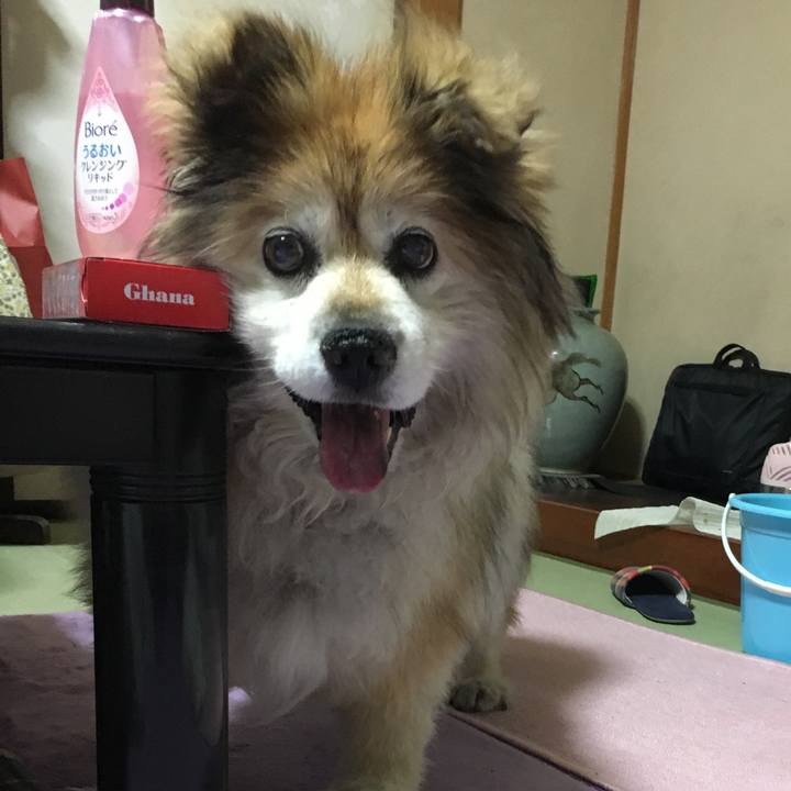 54cb6a49 4cba 410d 84b5 71f64c7b28f8 1595215776978