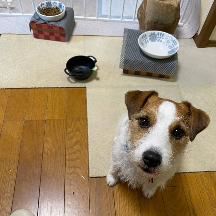 54cb6b51 6565 4384 b9da 74ff32367d2b 1710367766994