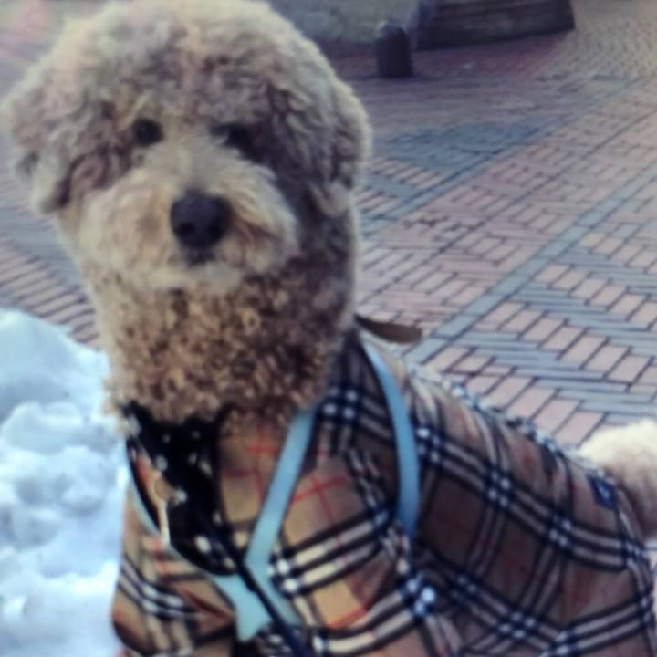 54cb6cef 9957 4e71 beb0 d3122cb50963 1601980237264