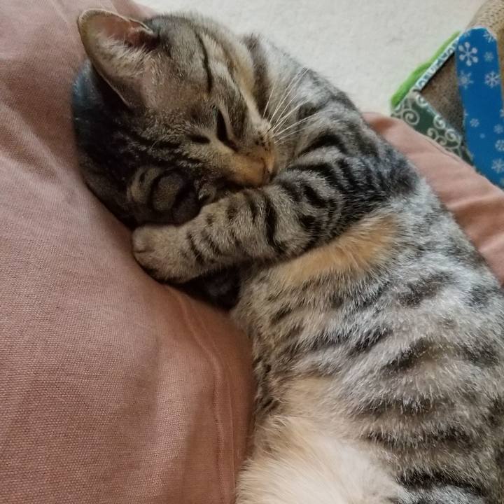 54cb8d05 4cea 4112 a643 86e95776ee37 1684850802974