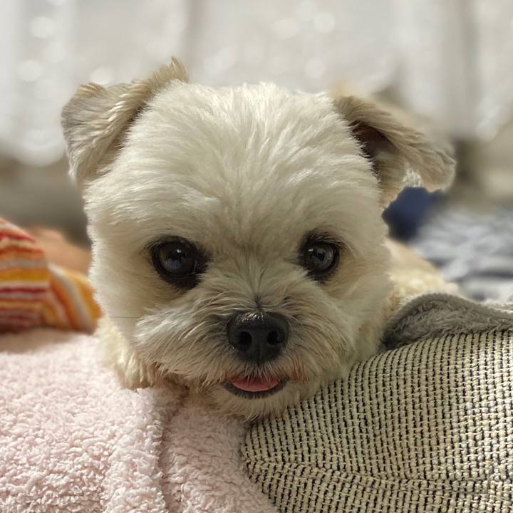 54cb9faa 248e 49ff a441 945c3c408047 1592052330127