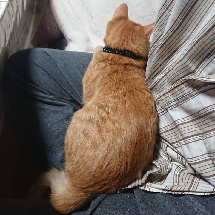 54cba863 b102 4aab 92c6 562bee2e550a 1634983836077