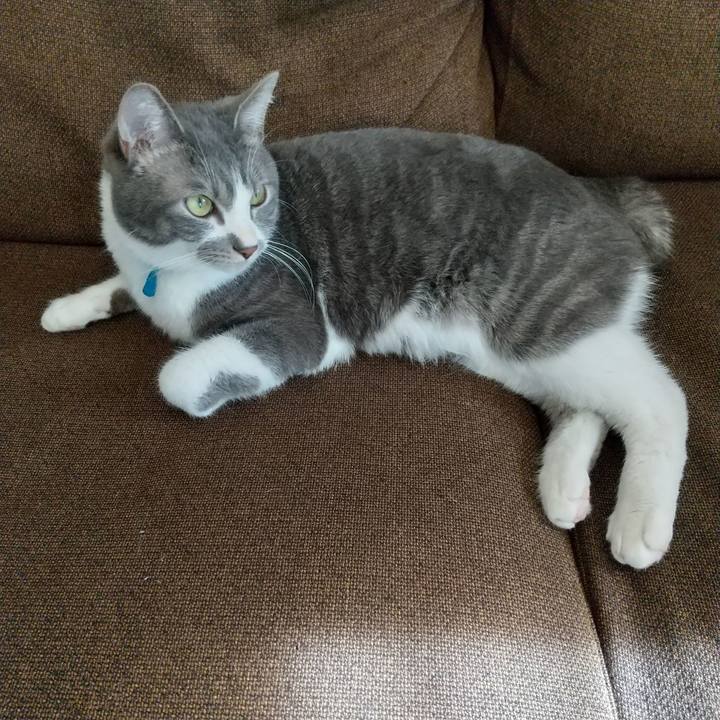 54cbcb96 372c 4183 a449 5d6f6226813b 1612250121437