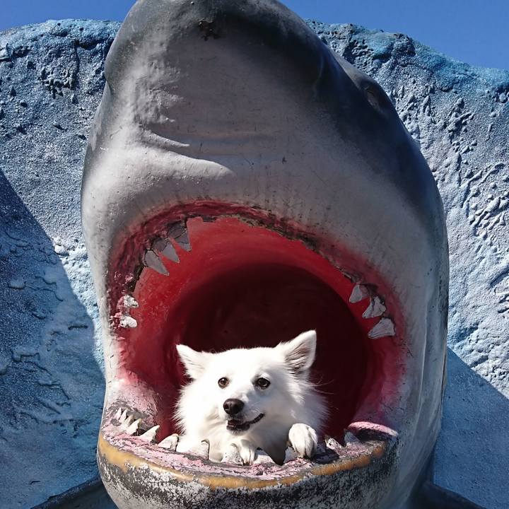 54cbdffc 7828 4b34 ab43 8a66d040b248 1541823672185