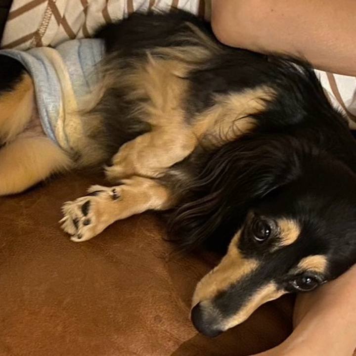 54cc0e0d 1fa7 43bc b610 7cc5ef4d0e97 1714616604456