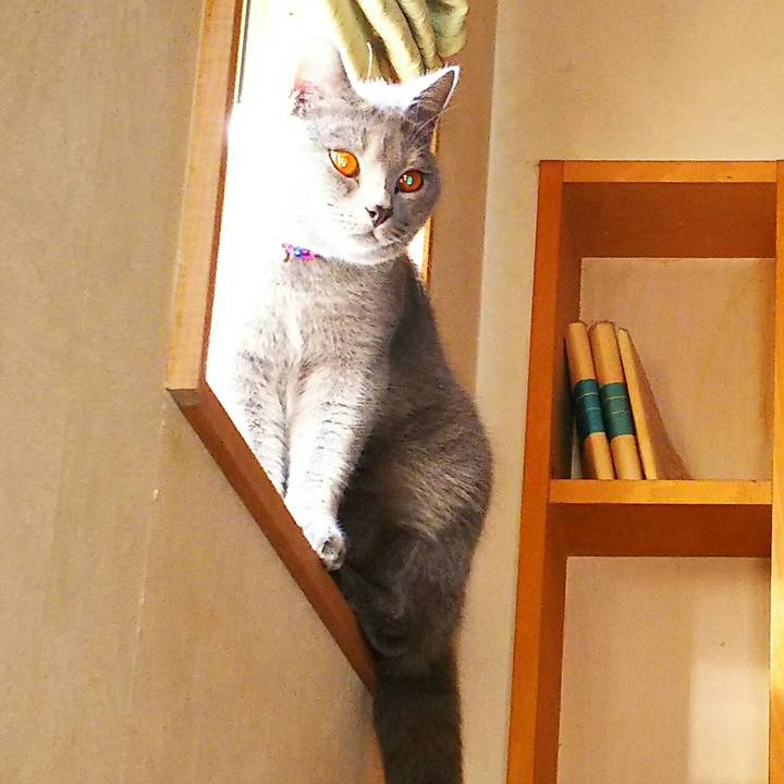 54cc2151 d536 4aea 816e e159d5b1a8b1 1512452298128