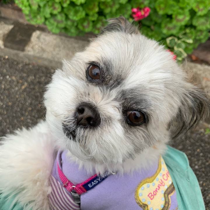 54cc35d6 cd98 40fc 8e25 6269b3bbf10b 1587971578052